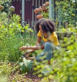 GARDENA - ExpertCut - Snoeischaar - 22 Diameter Tak -Tuin-Gereedschap Winkel 1116x1200