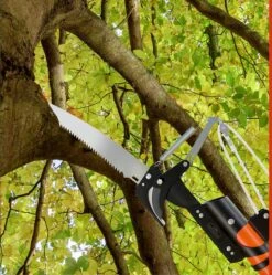 Gardebruk Takkenzaag Telescopisch - 2in1 Zaag & Snoeischaar - Oranje 29 Gardebruk Takkenzaag Telescopisch - 2in1 Zaag & Snoeischaar - Oranje -Tuin-Gereedschap Winkel 1189x1200 3
