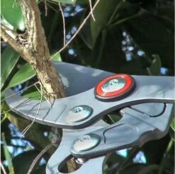 WOLF-Garten Takkenschaar POWER CUT RR*** 900 T - Lengte 650-900mm - Telescoop - Aluminium Hefboomarmen - 4x Meer Kracht - Messpanning Instelbaar -Tuin-Gereedschap Winkel 1200x1194