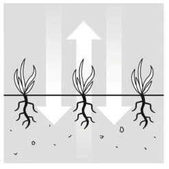 GARDENA EVC 1000 Verticuteermachine - Werkbreedte 30 Cm - Werkgebied 600m2 -Tuin-Gereedschap Winkel 1200x1200 180