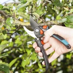 GARDENA - Comfort B/S-XL Bypass - Snoeischaar - Ø 24 Mm - 25 Jaar Garantie -Tuin-Gereedschap Winkel 1200x1200 19