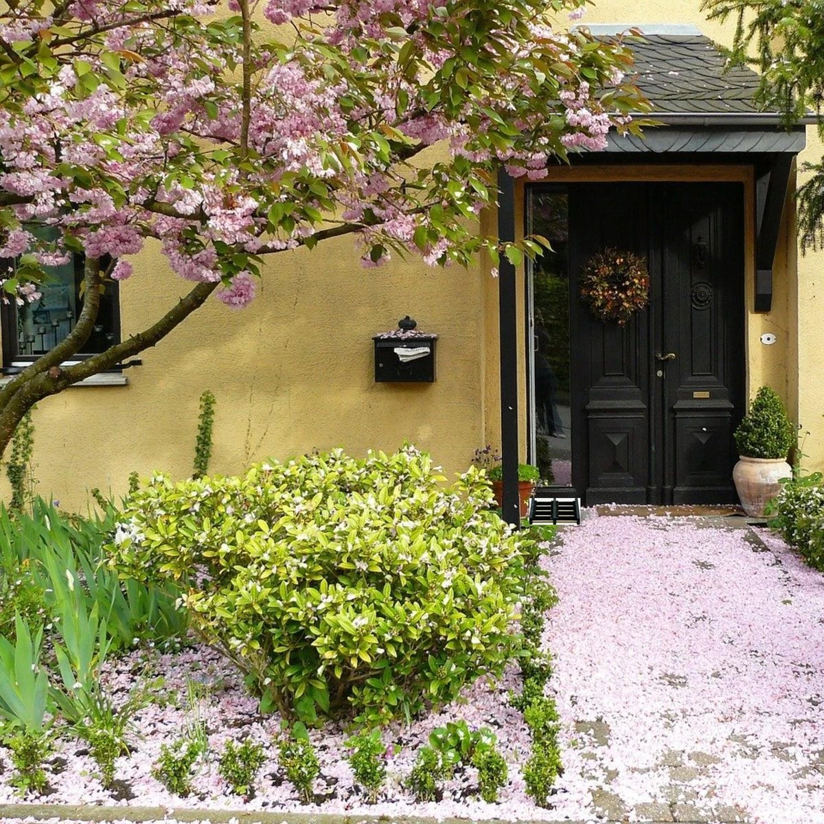 Talen Tools - Voetenveger - Dubbel - Harde Kunststof Borstels 6 Talen Tools - Voetenveger - Dubbel - Harde Kunststof Borstels - Afbeelding 4