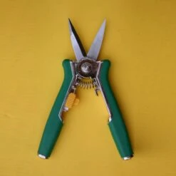 Bloemenschaar- Snoeischaar Recht Green Arrow 6238 -Tuin-Gereedschap Winkel 1200x1200 91