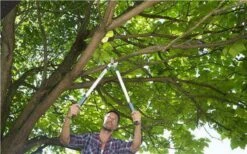 Gardena EasyCut Takkenschaar 68B + Classic Snoeischaar 8754 Display 1stuk 12003-30 -Tuin-Gereedschap Winkel 1200x749 2