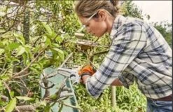 Stihl Accu Mini Kettingzaag SET - Snoeischaar - Snoeizaag - Hand Kettingzaag - Professioneel- Hovenier- Tuinman -Tuin-Gereedschap Winkel 1200x779