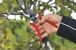 Felco 2 Snoeischaar - Rechtshandig - Max. Knipdiameter 25 Mm - Lengte 215 Mm -Tuin-Gereedschap Winkel 1200x796 1