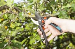 GARDENA - Comfort B/S-XL Bypass - Snoeischaar - Ø 24 Mm - 25 Jaar Garantie -Tuin-Gereedschap Winkel 1200x799 14