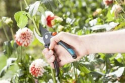 GARDENA Comfort B/M Bypass Snoeischaar - Ø 24mm - Met Sapgeul -Tuin-Gereedschap Winkel 1200x799 41