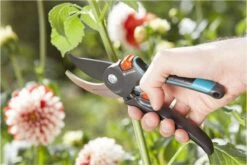 GARDENA Comfort B/M Bypass Snoeischaar - Ø 24mm - Met Sapgeul -Tuin-Gereedschap Winkel 1200x800 113