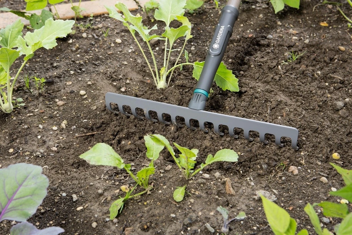 Gardena NatureLine Hark | 36 Cm | FSC 100% - 17106-20 7 Gardena NatureLine Hark | 36 Cm | FSC 100% - 17106-20 - Afbeelding 5