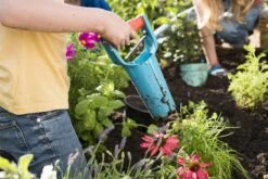 GARDENA Bollenplanter - Diepteaanduiding - Automatische Aardeloslating 14 GARDENA Bollenplanter - Diepteaanduiding - Automatische Aardeloslating -Tuin-Gereedschap Winkel 1200x800 219