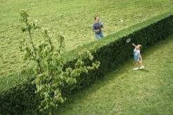 Bosch AHS 50-20 Accu Heggenschaar - Met 1 X 18 V Accu En Lader -Tuin-Gereedschap Winkel 1200x800 22