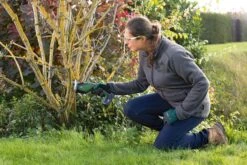 Bosch KEO 18 Accu Tuinzaagmachine - Snijdiameter Van 80 Mm - Met 18 V Accu En Lader -Tuin-Gereedschap Winkel 1200x800 42