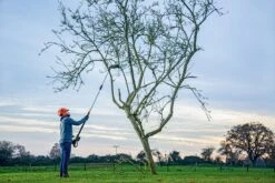 Bosch UniversalHedgePole 18 Heggenschaar Op Steel - Met 18 V Accu En Lader -Tuin-Gereedschap Winkel 1200x800 53