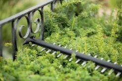 Bosch UniversalHedgeCut 18-55 Heggenschaar - Zonder 18V Accu En Oplader -Tuin-Gereedschap Winkel 1200x800 67