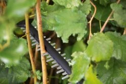 Bosch UniversalHedgeCut 18-55 Heggenschaar - Zonder 18V Accu En Oplader -Tuin-Gereedschap Winkel 1200x800 70