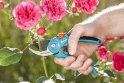 GARDENA - Classic B/S-M Bypass Snoeischaar - Ø 22mm - 25 Jaar Garantie -Tuin-Gereedschap Winkel 1200x800 77