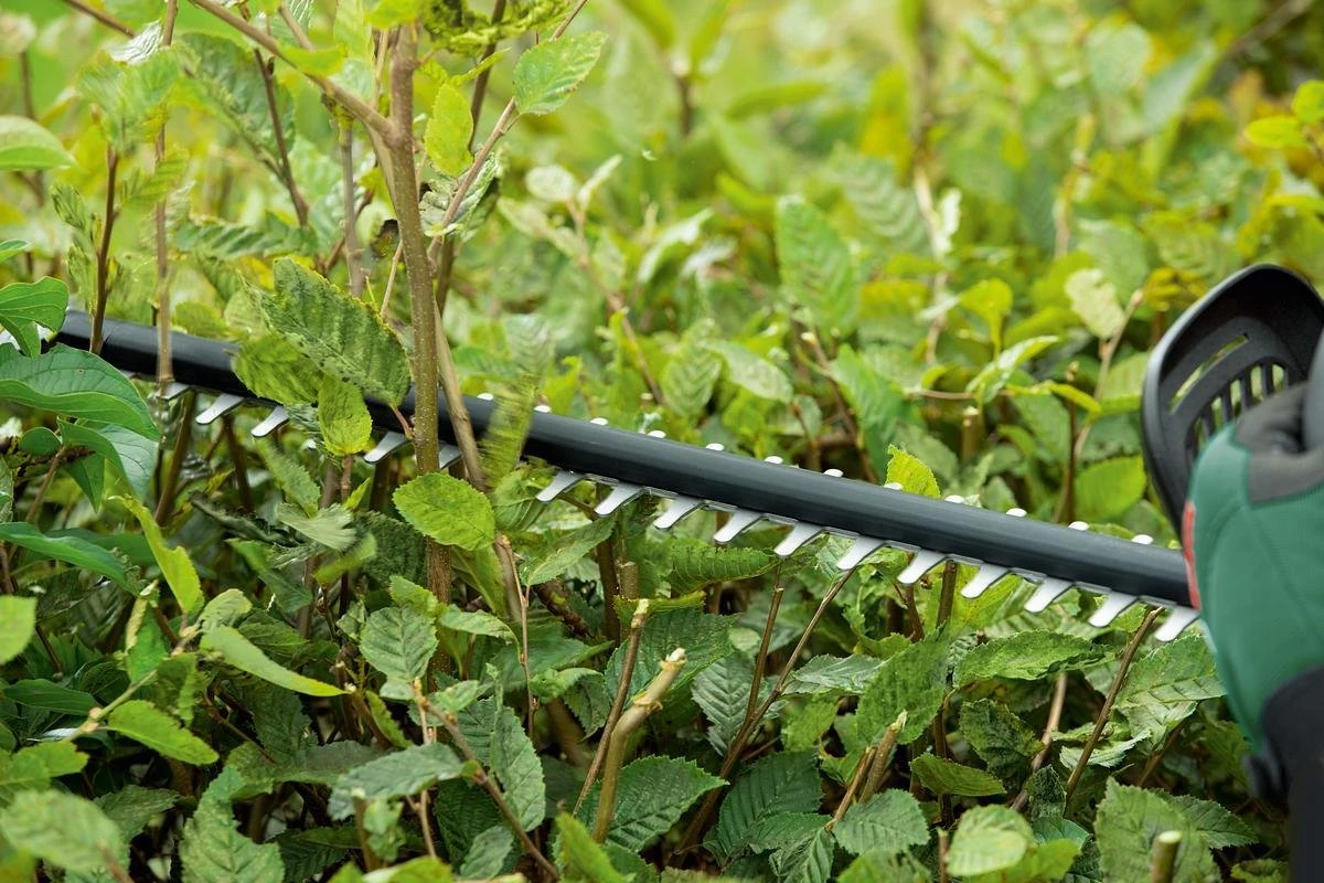 Bosch UniversalHedgeCut 18-50 Heggenschaar - Met 18 V Accu En Lader 8 Bosch UniversalHedgeCut 18-50 Heggenschaar - Met 18 V Accu En Lader - Afbeelding 6