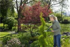 GARDENA PrecisionCut Buxusschaar - Meslengte 18 Cm - Vormsnoeien -Tuin-Gereedschap Winkel 1200x800 96