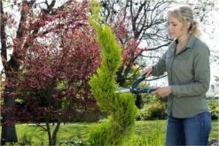 GARDENA PrecisionCut Buxusschaar - Meslengte 18 Cm - Vormsnoeien -Tuin-Gereedschap Winkel 1200x800 97