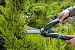 GARDENA PrecisionCut Buxusschaar - Meslengte 18 Cm - Vormsnoeien -Tuin-Gereedschap Winkel 1200x800 98