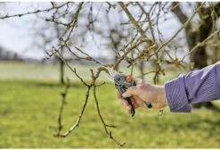 GARDENA - ExpertCut - Snoeischaar - 22 Diameter Tak -Tuin-Gereedschap Winkel 1200x815