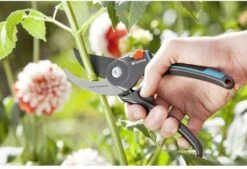 GARDENA Comfort B/M Bypass Snoeischaar - Ø 24mm - Met Sapgeul -Tuin-Gereedschap Winkel 1200x822