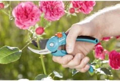 GARDENA - Classic B/S-M Bypass Snoeischaar - Ø 22mm - 25 Jaar Garantie -Tuin-Gereedschap Winkel 1200x825 10