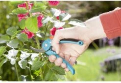 GARDENA - Classic B/S-M Bypass Snoeischaar - Ø 22mm - 25 Jaar Garantie -Tuin-Gereedschap Winkel 1200x825 11