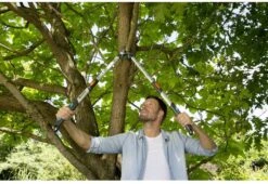 Gardena TeleCut Takkenschaar 650-900 B - Uitschuifbare Armen - Tot Max 90 Cm 20 Gardena TeleCut Takkenschaar 650-900 B - Uitschuifbare Armen - Tot Max 90 Cm -Tuin-Gereedschap Winkel 1200x826