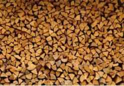 Steko Houtsplijter Voor Grote Blokken - Voor Aanmaakhout & Brandhout - Houtklover - Houtkliever - Splijtwig - Handmatig - Overal Te Gebruiken 1605 Gram - Metaal - Kloofwig - HOGE VOLUMEKORTING -Tuin-Gereedschap Winkel 1200x837