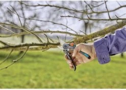 GARDENA - ExpertCut - Snoeischaar - 22 Diameter Tak -Tuin-Gereedschap Winkel 1200x859