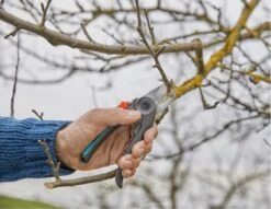 GARDENA - ExpertCut - Snoeischaar - 22 Diameter Tak -Tuin-Gereedschap Winkel 1200x929