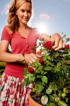 WOLF-Garten Snoeischaar "Premium Plus" RR 4000 - Max. Knipdiameter 22 Mm - Links- En Rechtshandige - Softinleg Handgreep - Snijhoek 30° - Voor Grote Handen - Vervangbare Messen -Tuin-Gereedschap Winkel 799x1200 1