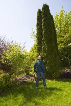 GARDENA TeleCut Heggenschaar - Telescopische Handgrepen Van 70-90 Cm 18 GARDENA TeleCut Heggenschaar - Telescopische Handgrepen Van 70-90 Cm -Tuin-Gereedschap Winkel 799x1200 21