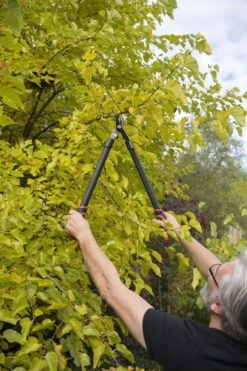 Kreator KRTGR4001 Takkenschaar - 650mm -Tuin-Gereedschap Winkel 800x1200 12