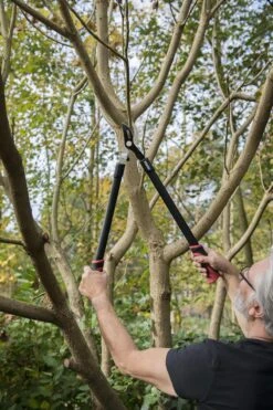 Kreator KRTGR4001 Takkenschaar - 650mm -Tuin-Gereedschap Winkel 800x1200 13