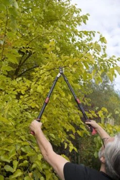 Kreator KRTGR4003 Telescopische Takkenschaar – Jong Hout - Knipdiameter: Ø34 Mm -Tuin-Gereedschap Winkel 800x1200 14