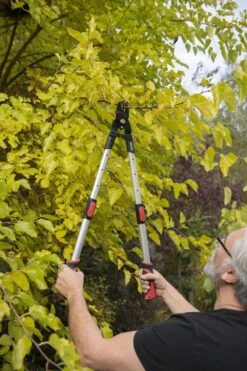 Kreator KRTGR4013 Telescopische Takkenschaar - 63-89 Cm Totale Lengte - . Ø39 Mm Knipdiameter -Tuin-Gereedschap Winkel 800x1200 15