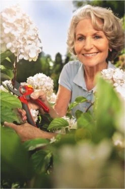 WOLF-Garten Snoeischaar "Premium Plus" RR 4000 - Max. Knipdiameter 22 Mm - Links- En Rechtshandige - Softinleg Handgreep - Snijhoek 30° - Voor Grote Handen - Vervangbare Messen -Tuin-Gereedschap Winkel 800x1200 5