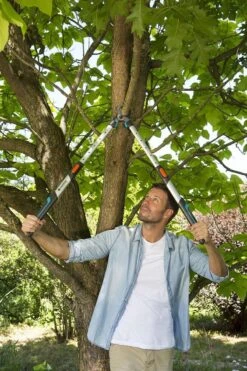 Gardena TeleCut Takkenschaar 650-900 B - Uitschuifbare Armen - Tot Max 90 Cm 18 Gardena TeleCut Takkenschaar 650-900 B - Uitschuifbare Armen - Tot Max 90 Cm -Tuin-Gereedschap Winkel 800x1200 9