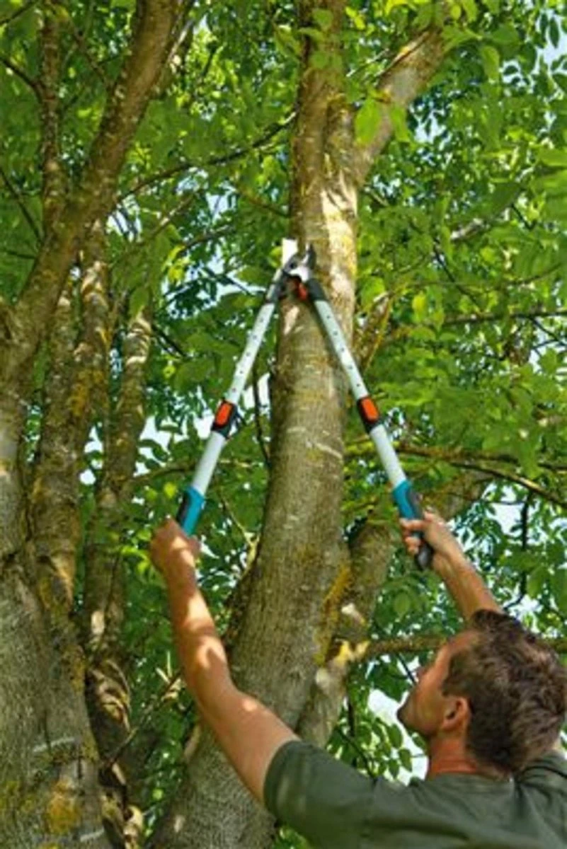 Gardena TeleCut Takkenschaar 650-900 B - Uitschuifbare Armen - Tot Max 90 Cm 13 Gardena TeleCut Takkenschaar 650-900 B - Uitschuifbare Armen - Tot Max 90 Cm - Afbeelding 11