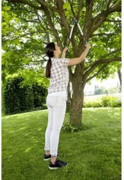 GARDENA - TeleCut Telescopische - Takkenschaar 520-670B - 42 Mm Verstelbare Lengte -Tuin-Gereedschap Winkel 826x1200