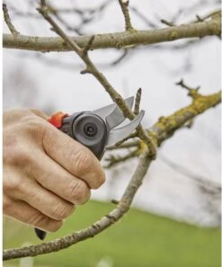 GARDENA - ExpertCut - Snoeischaar - 22 Diameter Tak -Tuin-Gereedschap Winkel 999x1200 1